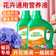 Nutrient solution plant universal flower fertilizer fortune tree rich bamboo green dill hydroponic potted household flower flower fertilizer universal concentrated type 500 ml bottle