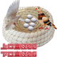 Runhua Nianxin Racing Pigeon Straw Bird's Nest Universal Extra Large Anti-rollover Corn Fur Nest for Egg Laying and Breeding 1 small gourd style bird's nest