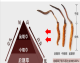 2 Cordyceps sinensis en el área nevada de Tongrentang, Beijing / Gram auténtico Cordyceps sinensis Box de regalo 10