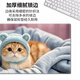 趣味极呆萌小猫狗鼠标垫宿舍桌子可爱少女桌垫护腕卡通笔记本电脑防滑鼠垫可定制简约百搭高颜值加厚锁边 14079 晒太阳 800毫米*300毫米*5毫米