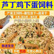 Special feed for rutin chickens, rutin chicken egg production feed, mealworm brooding feed, quail feed, high protein 10Jin Jin is equal to 0.5kg, egg production food containing mealworms, dried vegetables