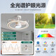 New Nordic ceiling fan light invisible living room bedroom ceiling integrated fan light restaurant smart electric fan frequency conversion 1283A white ceiling model + light-changing remote control