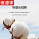 恒源祥纯色棉长袖衬衫男士春秋薄款商务休闲纯色免烫无痕白色衬衣爸爸装 6628【藏青格】 长袖【有口袋】 38 【建议100-120斤】