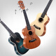 
Classton Ukulele beginner veneer girl male 23-inch Uklili children's entry-level adult small guitar 23-inch lucky log+