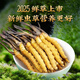 2025 Fresh Cordyceps Authentic First-Stage Fresh Cordyceps 1.2g/root of genuine fresh grass for gift supplements 1.0-1.2g/root [Cryo-save] 50 roots for 6 fresh Cordyceps and gift boxes