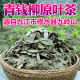 江西修水青钱柳茶嫩芽金钱柳茶野生高山古树原叶颗粒装茶叶 1盒/125g*25泡