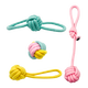 ZanChong Macaron Cotton Rope Teething Dog Toy 4-piece Set Dog Toy Bite-Resistant Teething Ball Pet Puppies Little Self-Happiness