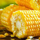 High-quality sweet corn, fresh fruit corn, freshly picked tender corn, sweet fruit corn, nutritious breakfast juice, 1.8-2Jin Jin equal to 0.5kg, with box, 2-3 pieces, starting from 300g/root
