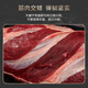 Yueshengzhai PLUS Subsidy Popular Chilled Australian Grain-Fed Beef Tendon 800g Date Super Fresh Fresh Beef
