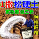Soil loosening essence without deep plowing to improve soil hardening soil activator black water fertilizer vegetable garden plowing and loosening artifact 500g 2 bags loosening essence soil activator