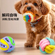 Zanpet Teething Dog Toy 3-piece Set Toy Golden Retriever Teddy Interactive Teething Relief and Bite-Resistant Dog Toy