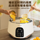 TONZE electric stew pot, water-proof stew pot, electric stew pot, soup pot, soup pot, porridge pot, bird's nest health pot, stainless steel water-proof stew pot, government subsidy GSD-253GD 2.5L