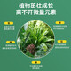 Plant nutrient solution universal household potted money tree rich bamboo green dill hydroponic flower green plant vegetable fertilizer universal nutrient solution 500ml 2 bottles