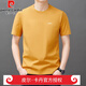 皮尔卡丹（pierre cardin）重磅高档男士短袖t恤夏季新款潮流纯棉简约圆领上衣休闲商务体恤 官方店品牌YS9929湖兰 均码 110 【111-125斤】