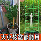 
Flower rack for home use, universal lazy crab claw orchid rack for lotus leaf guard rack for gardening potted plant splicing, easy installation [selected materials, random splicing] grab 153 pieces, essential flowers growers丨[3 layers, 18 pieces] can be stacked 8 layers