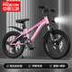 Flying Pigeon Youth Bicycle 6-12-18 Years Old Male and Female Student Competition Grade Mountain Bike Gray 24-inch Transmission Body