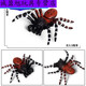 Simulation du village de Shantoulin Spider Spider Halloween Prank Toy Simulation Spider VenoMous Spider Insect Modèle Animal Ox-683 Brésilien Blue Bird Catching Spider 0.0