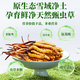 2025 Cordyceps frais Sinensis Time supérieur sélectionné Cordyceps frais SF Express Chaîne froide Origine droite CHEAUX GRANDE GROUPE FRÈS. Chaque cordyceps frais du Tibet a 0,6 gramme de 30 morceaux de 30 pièces
