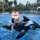 Chaosihui Riese dicker Hai großer schwarzer Wal Wasser surfen Artefakt Erwachsener Schwimmkreis Kinder Wasserspielzeug Surfen Neue große schwarze Wal