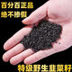 Beijing Tongrentang quality authentic fried leek seeds Chinese medicinal materials wild leek seeds powder men's wine and tea canned 1 can of cooked leek seeds 250 grams