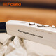 罗兰（Roland）电吹管AE05C自带音源电萨克斯民族音色AE01老年初学入门电子管乐 AE-01C白色