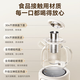 LOTOR Laiduo health pot, teapot, office health pot, kettle, constant temperature pot, health pot, glass multi-function teapot, government subsidy D12Q filter cartridge stew pot