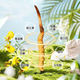 Zangqingyuan [First stubble fresh grass in 2025] Fresh Cordyceps sinensis, fresh Cordyceps in the first stage, fresh grass selection gift box, fresh grass 1.3g/root, 50 roots