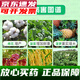 Sanliu Shanghai Tongrui Sanliu 3% gibberellic acid gibberellin 920 weight-increasing seedlings and increased yield plant growth regulator 25ml 25ml