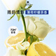 Ryo Mint Lemon Oil Control Fluffy Shampoo Long-lasting Fragrance Shampoo 400ml