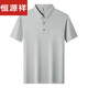 恒源祥高档品牌轻奢短袖t恤男2025新款夏季休闲爸爸装上衣polo.衫新品 深灰-15286 M 165