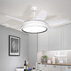 Opda Daqi living room fan lamp 2025 new large size Guangdong Zhongshan lamp electric fan hall ceiling fan lamp full spectrum 1039 black 52 inch three-color dimming 96 watts Maotian
