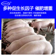 Zhengzhou Kangdi 4% piglet premix, fattening pig premix, large pig feed, pig premix, skeleton fattening 4% fattening pig (60Jin Jin is equal to 0.5kg - for slaughter)
