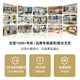 TIAN WANG watch women's small dial fashionable quartz watch simple temperament watch birthday gift for girlfriend [29mm dial] simple brown belt 3886 upgraded model