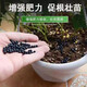 Stanley Compound Fertilizer Flower Fertilizer Chemical Fertilizer Nitrogen Phosphorus Potassium Green Plant Fruit Tree Flower Nutrient Soil Potassium Dihydrogen Phosphate Universal Universal High Efficiency Compound Fertilizer Bulk 5Jin Jin is equal to 0.5kg 2500g delivery spoon