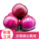 [Manger cru légèrement sucré] gansu jiuquan purppe oignon fraîche oignon rouge 5 Jin [Jin est égal à 0,5 kg] Végétables bon marché pour l'élimination du formaldéhyde, Onion de sélection de haute qualité 13586 Single 5 Jin [Jin est égal à 0,5 kg]