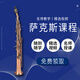 唐爵 TALLJO漆金高音萨克斯风 专业降B调黄铜管体 成人儿童初学考级演奏乐器 681漆金黄铜高音萨克斯