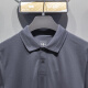 Kurzärärmungs-Polo-Shirt von Männern 2024 Sommer Neues Produkt Chinesische Farbserie Komfortable Revers-T-Shirt APLU087 12804 Kaltes Sandelholz s