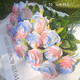 Li Qiuke Ins Rosas falsas Adornos de ramo simulados Arreglo de flores y foto Diy de alto valor Regalo de hielo roto Decoración de la sala de estar azul Flores de hielo roto [9896% Piezas de opción de hada-12]