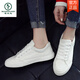 Woodpecker Brand 2025 Summer NUEVO AMPLEO VERSATILE VERSATIL CAPILLO Men's Sports Top Sports Board Zapatos lienzo pequeño White White Tendy Shops Shoes 9708 (lienzo) Blanco 39