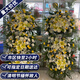 Aitong chrysanthemums, flower wreaths, old people's death, funerals, funeral supplies, tomb sweeping and commemoration, door-to-door delivery in the same city, permanent remembrance, 1 flower basket, delivery in the same city, support for appointment date