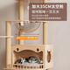 DUTRIEUX实木猫爬架猫窝猫树猫架子通天柱大型家用小型太空舱睡玩一体专用 1231实木板七层爆款+实木柱