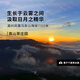 千庭单丛特级鸭屎香茶叶 潮州乌岽高山单丛乌龙茶50g 庄园鸭屎50g 50g
