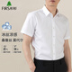 Shanshan (FIRS) shirt men's summer business modal mulberry silk short-sleeved shirt stretch no-iron shirt D19101 41