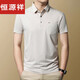恒源祥高档品牌轻奢短袖t恤男2025新款夏季休闲爸爸装上衣polo.衫新品 深灰-15286 M 165