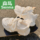 Semir atmungsable Mesh Dad Schuhe Frauenschuhe neue Sommer-Mesh-Schuhe mit Weitbeinhosen Schuhen Dicke gelöst weiße Schuhe Sneakers 9905-5 Beige Mesh Semi-Torch kostenlose Versandversicherung 37