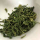 Gannan Meizhou Alpine Clouds and Mist Green Tea Young Buds Spring Tea 2024 Green Tea New Tea Green Tea King Special Grade Sufficient Sunshine