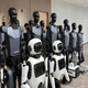 
Miss Dolphin (MISS DOLPHIN) Robot Nanny Artificial Intelligence AI Education Research Humanoid Robot College Experimental Teaching School Exhibition Hall Opening Marketing Performance Dancing Welcome Rental and Rental Upgraded Edition Exhibition Hall Service Intelligent Robot