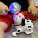 Mi Lan practices head-up toys for newborn babies and toddlers 0-3-6 three-four-month-old children 8 little month old babies to coax babies. Rotating puppy + charging set