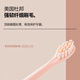 Zhuyou Youyouyun x1 u1 electric toothbrush head 4 pieces pink (buy 3 sets and get a free LED light-filling makeup mirror)
