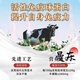 
Beijing Tongrentang Immunoglobulin Glucotic Acid Capsules Strong High Resistance Colostrum Calcium Iron and Zinc Protein Powder Yishoufu 1 Box
